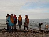 Bild