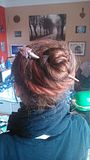 Bild