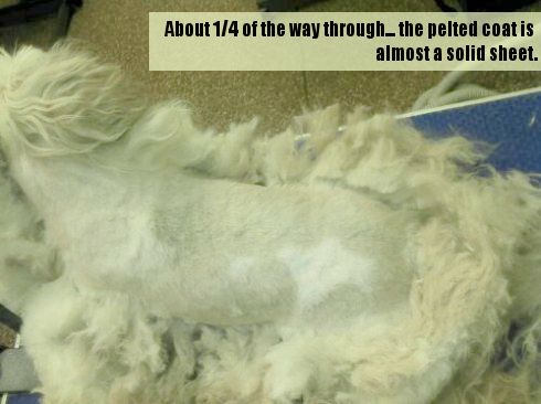 Matted