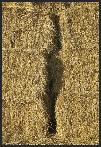 10e5f9cd-785b-499e-b5b9-e8875660e172_zps