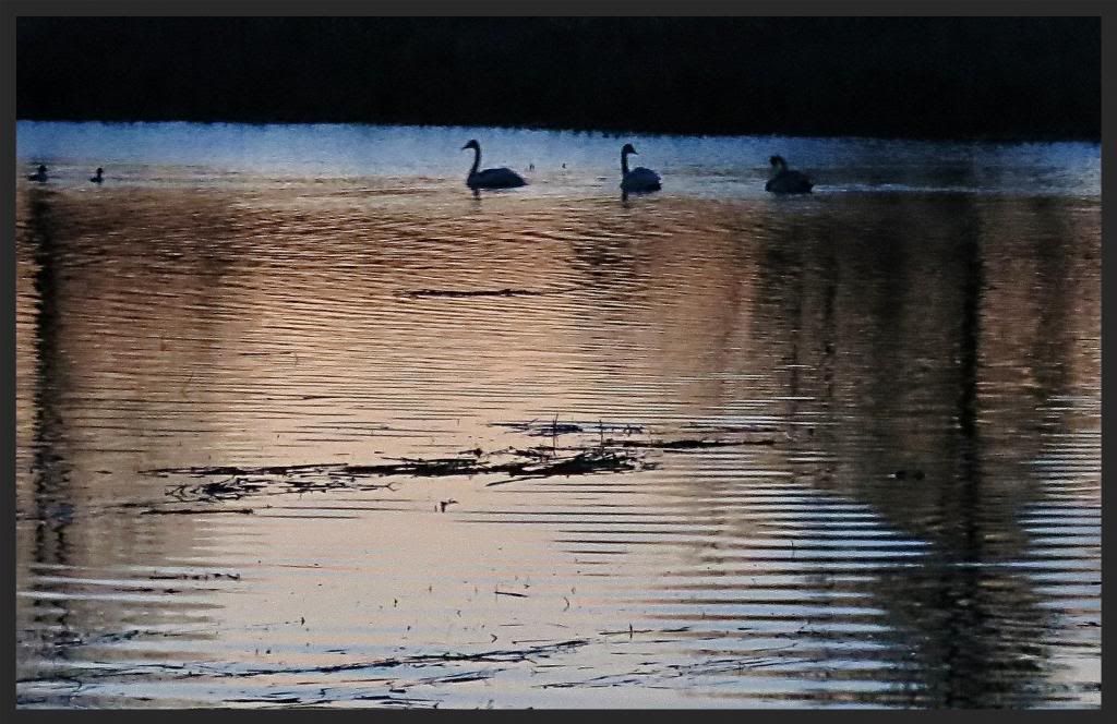 1ca52ff1-2967-412b-9912-7ac96724c3eb_zps