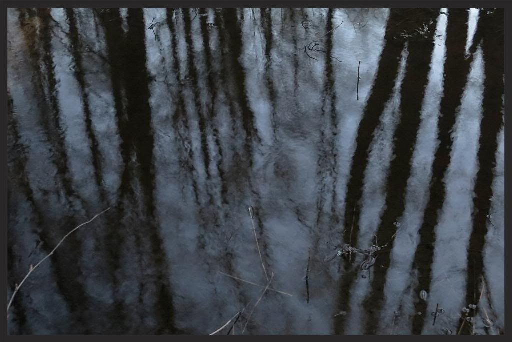 2bd42f4e-3c66-479a-aa8d-928d7d0c4c0d_zps