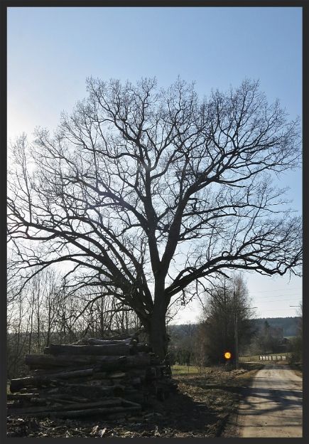 314cf447-aaed-49a1-a204-77032c03a29e_zps