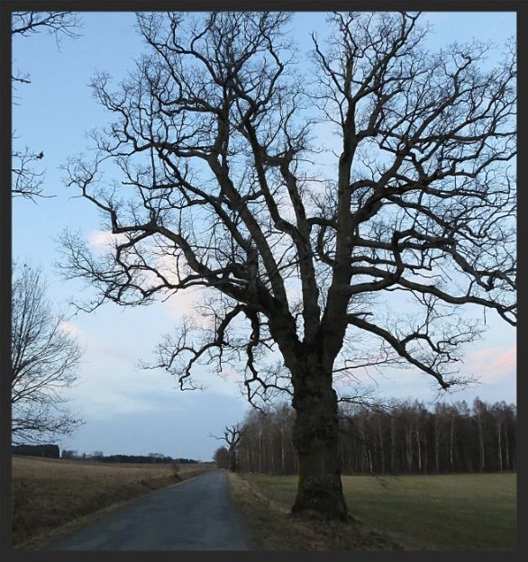 4b8c82d9-77ff-441b-ba51-4fb89b9abd67_zps