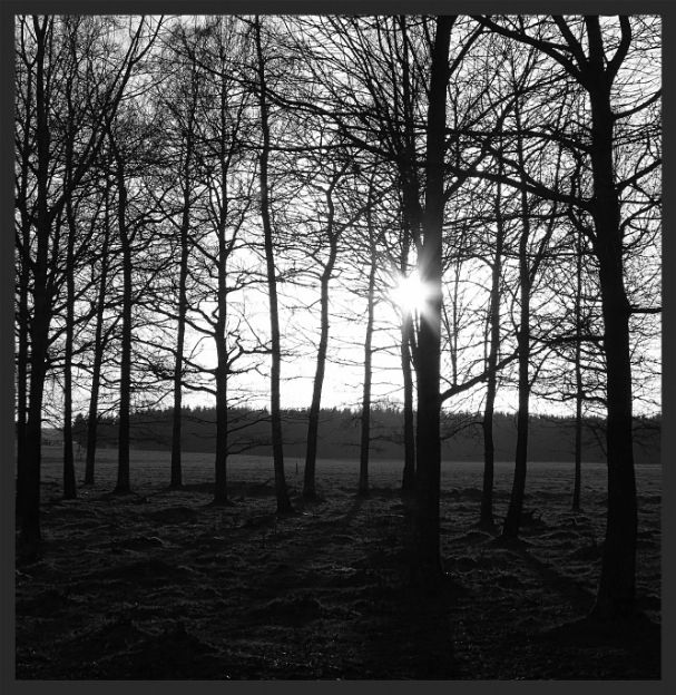 53f2917c-5980-4d8f-a932-b02e148230c2_zps