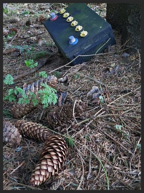 70b4c5e8-a8b2-4e64-b8c0-06d043f7a1ba_zps