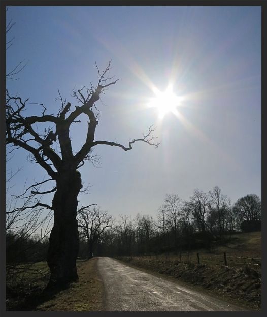 7a36eeea-c47e-424d-82d6-57758b9f55bb_zps