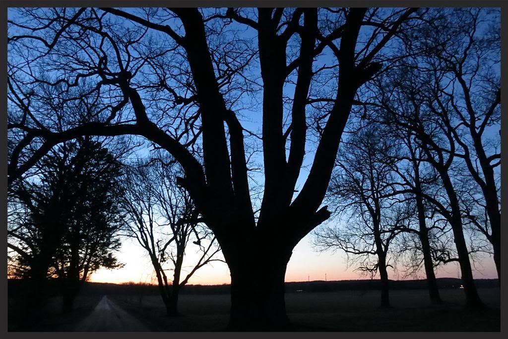 ba9fea83-7389-4c91-b9b8-7fc1becd99b0_zps