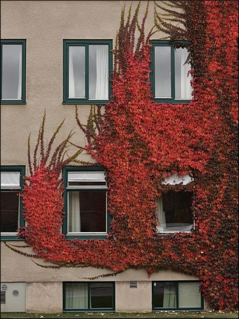 f5247b18-fe27-40e9-bfb7-b55841467e2f_zps