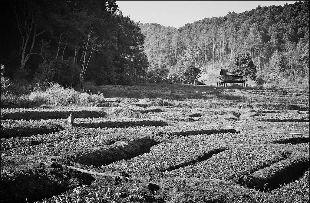 32b0a5cb-122a-4065-a086-555fd26bbbdc_zps