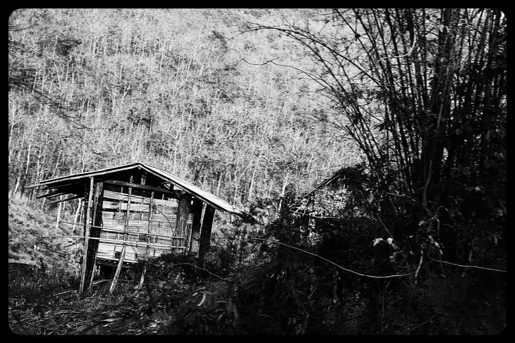 40c39b41-8354-4b3b-81e2-634da9bdf808_zps