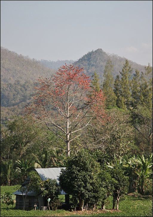 45d6fbff-99fd-4b74-a8c2-4203eba0a5f0_zps