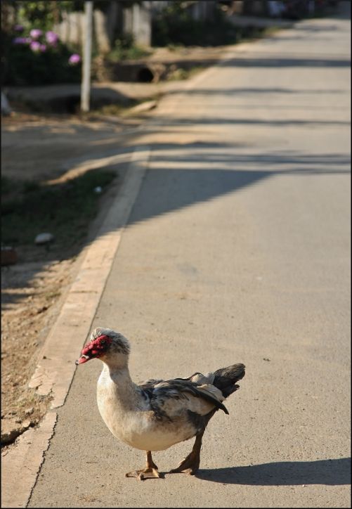 6fe190fa-3001-48da-a412-1dd7f5c0c9ef_zps