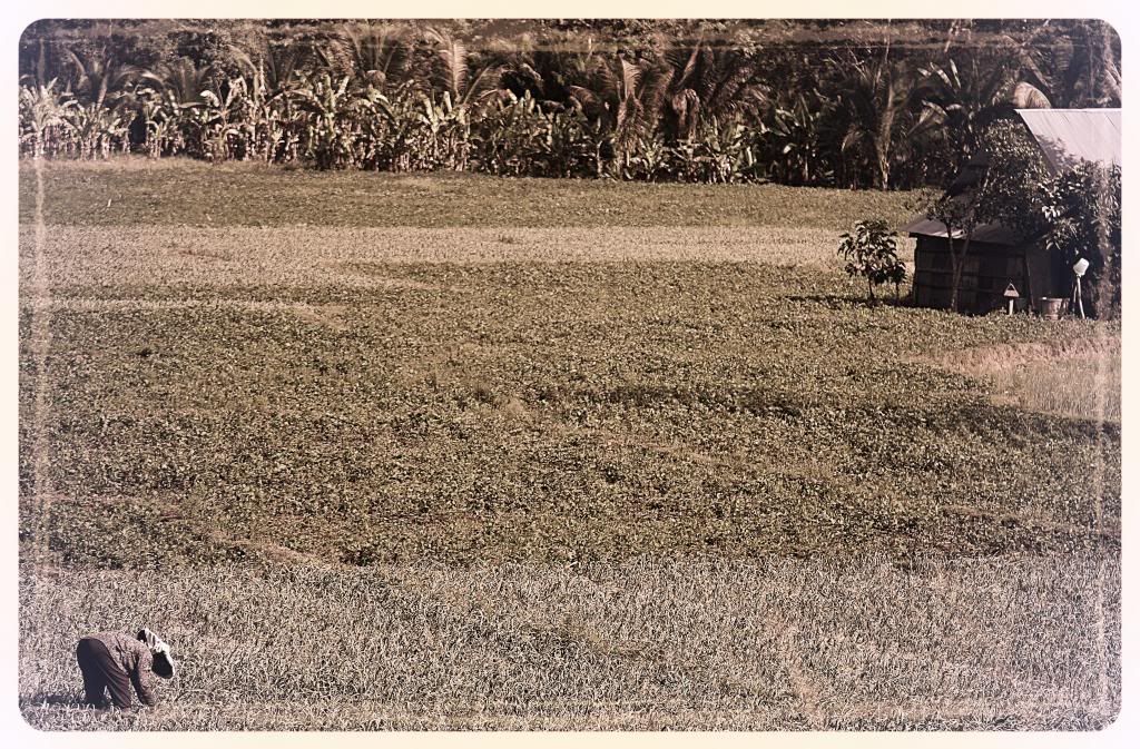 98ccc229-b971-47db-984b-94c5b362013e_zps