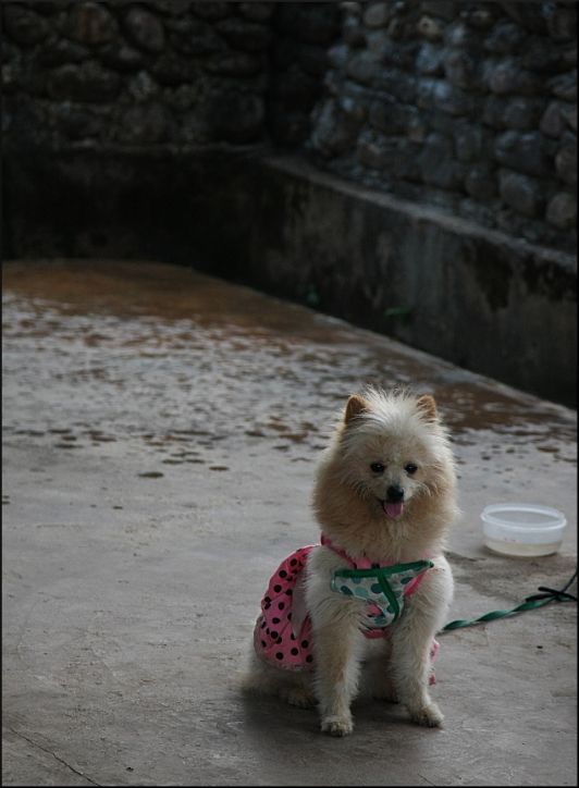 a90dc443-b57d-44b5-95ff-3eb436c163ab_zps