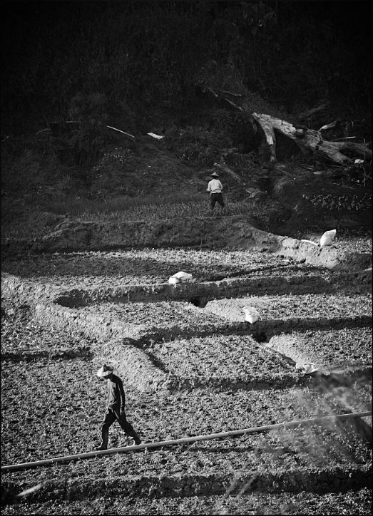 bc600b4e-c3e5-4ff2-aea0-111e2a39650e_zps