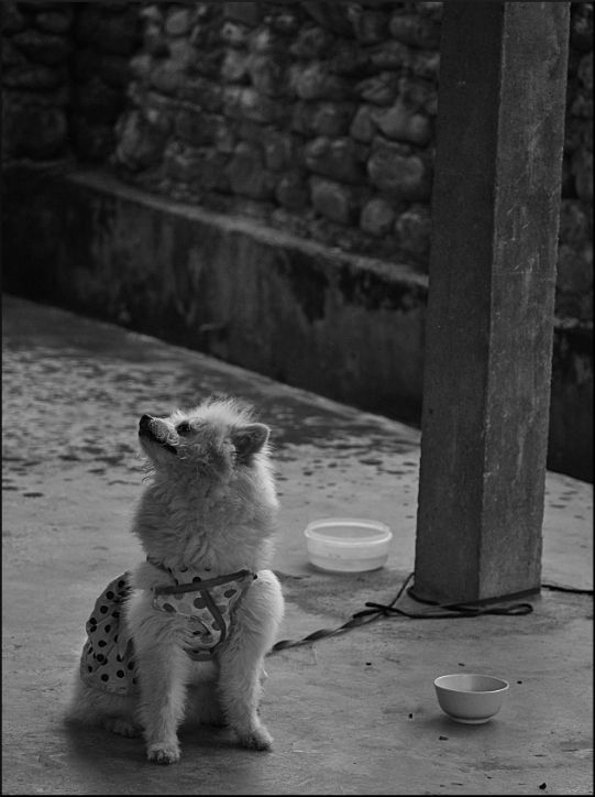 dfb2176f-90f7-4de0-93a3-e490b600d2bd_zps