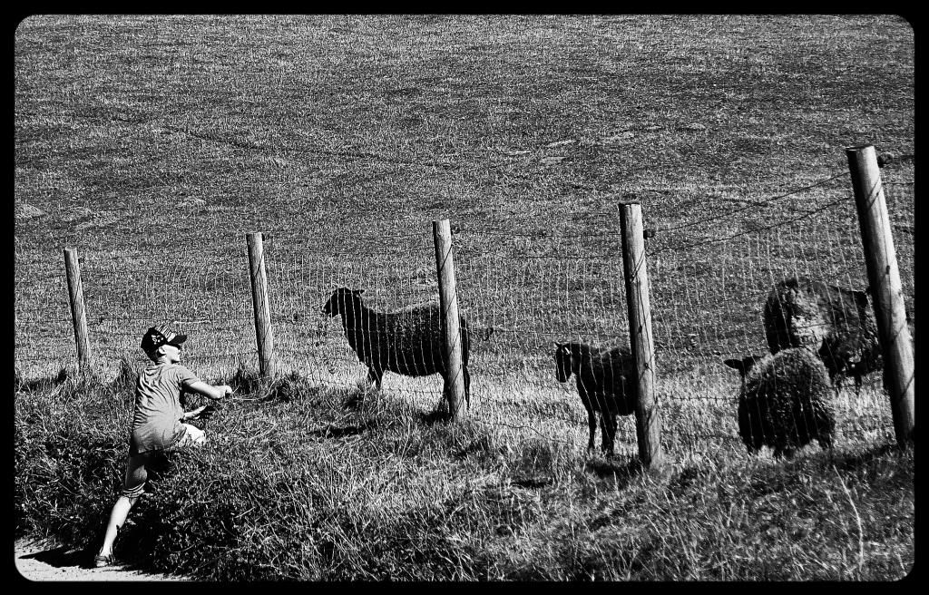 ed08414d-a78b-44d7-9ede-bc3e8a4a2e79_zps