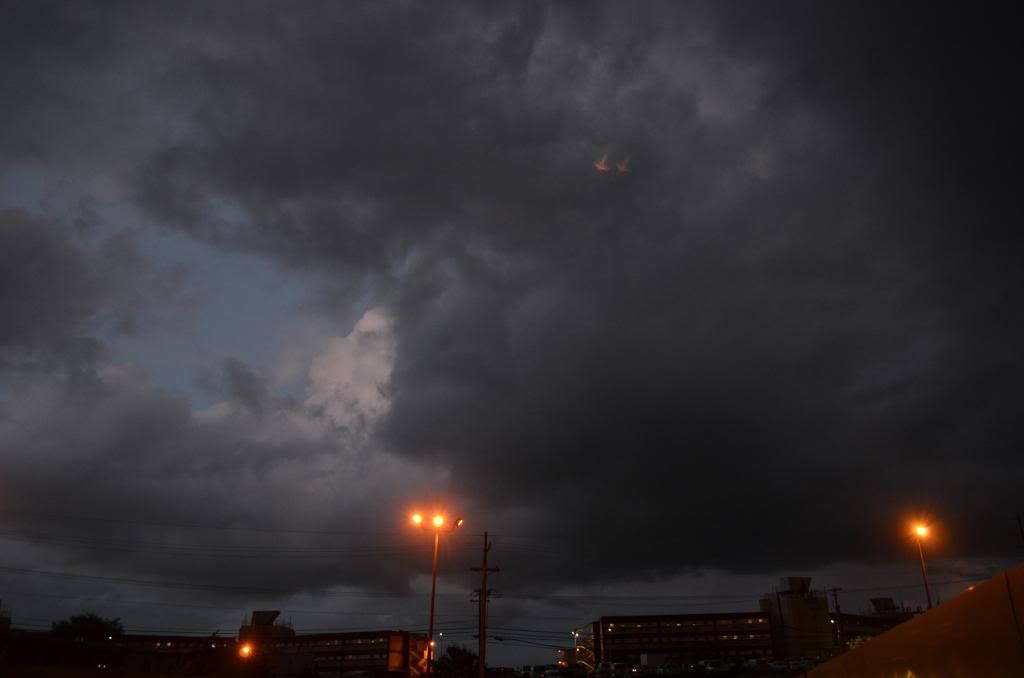 DSC_0344_zps5e2d348d.jpg