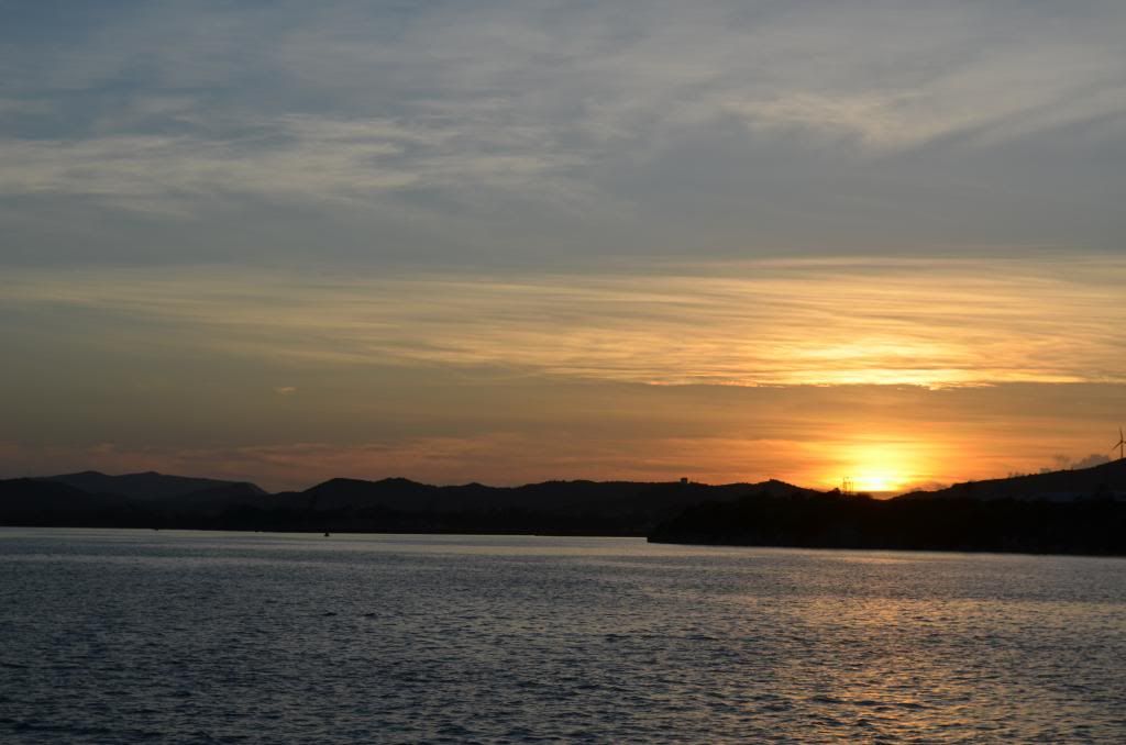 DSC_0355_zps2ddb2164.jpg