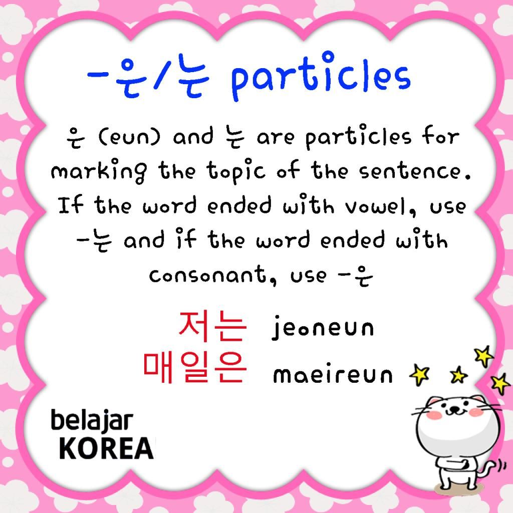 topic marking particle korean (saungkorea.com)