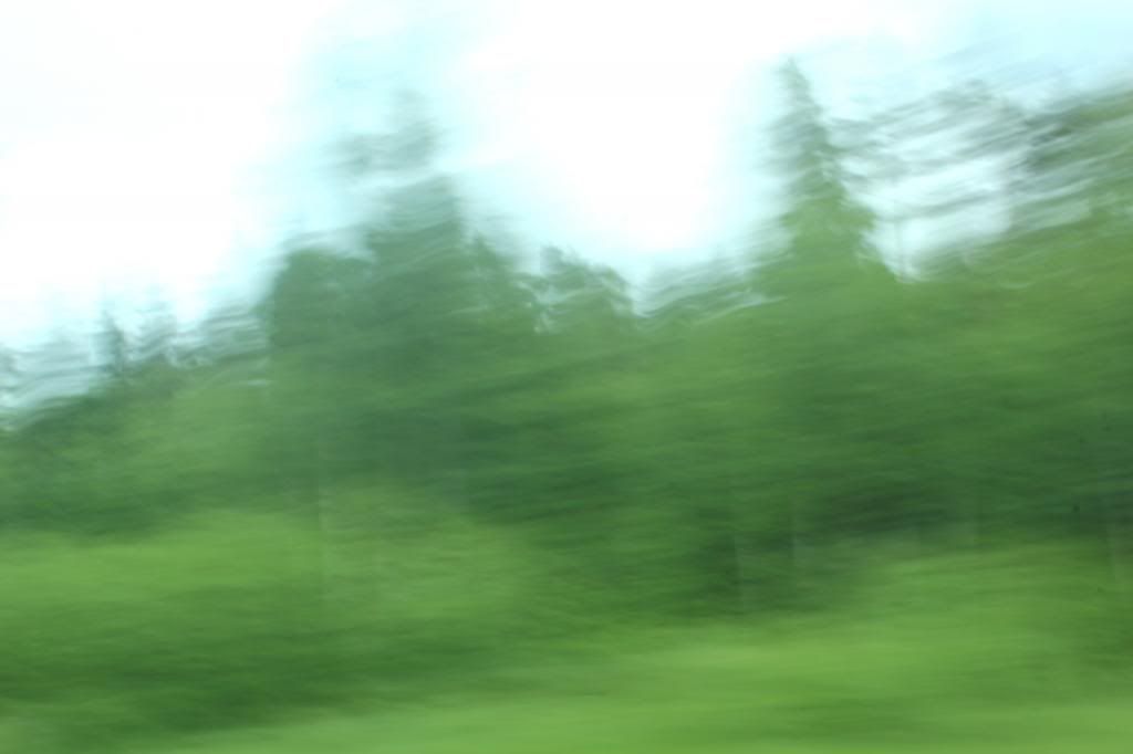 photo myday014_zpsd636d518.jpg