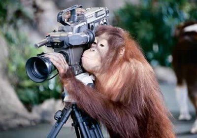 Monkey with Camera