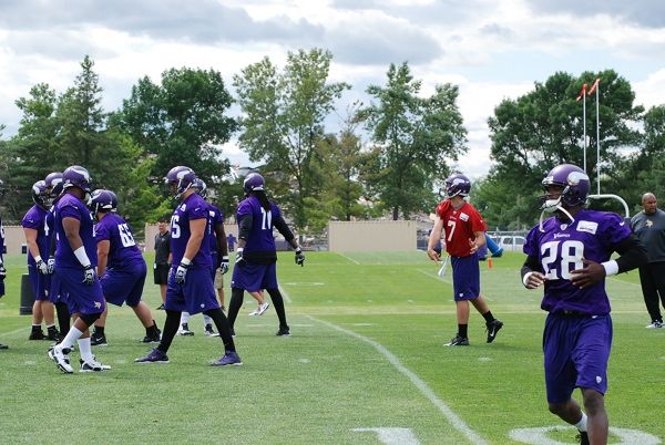 Vikings training camp access 2013