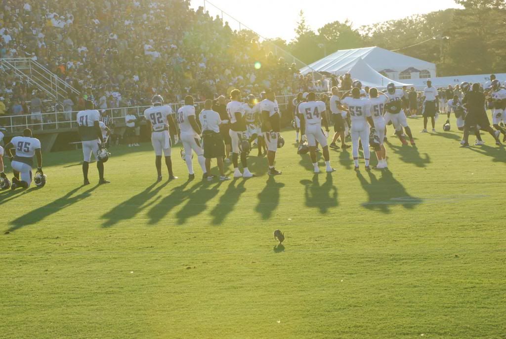 More Vikings training camp