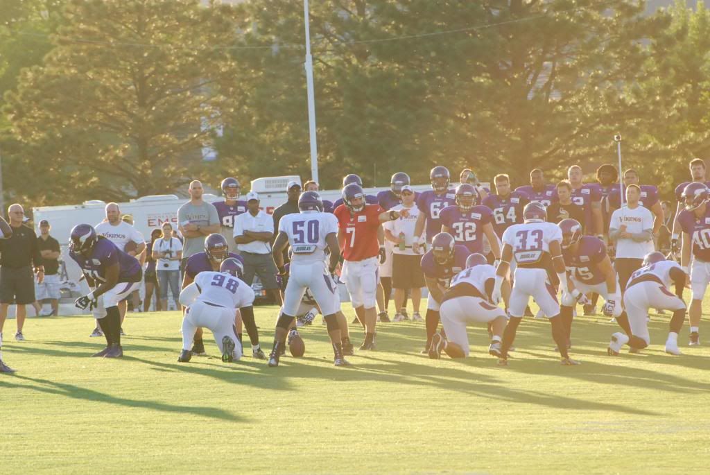 Vikings saturday scrimmage