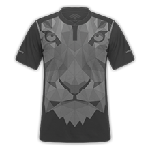 [Imagem: hull3_zpsjjmlouti.png]