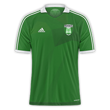 [Imagem: nigeria1_zpsl90bi7c1.png]