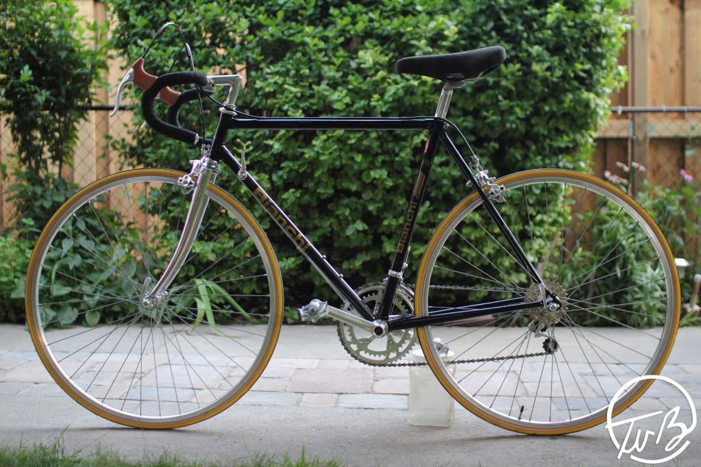 1980 bianchi road bike