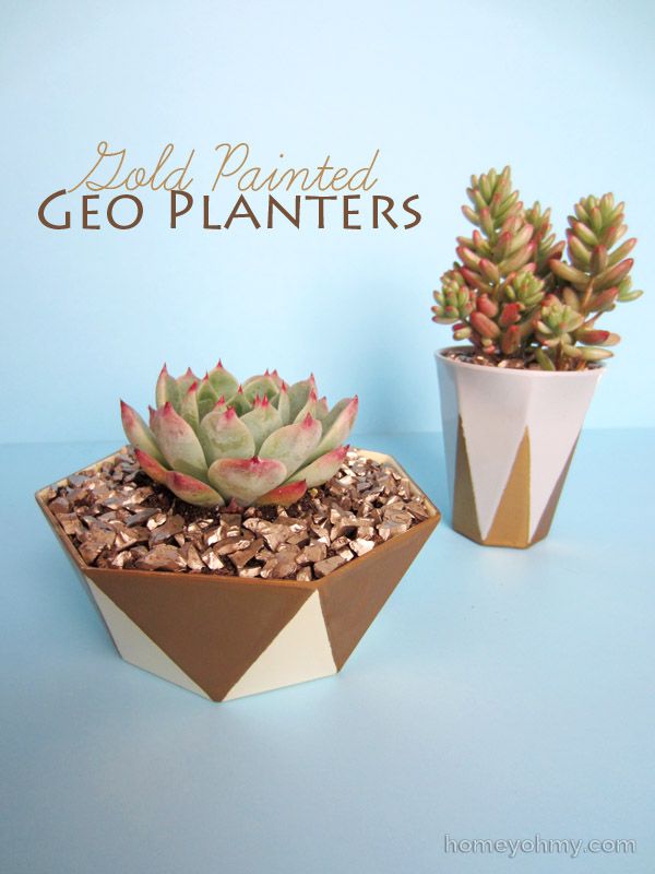  photo Gold-painted-geo-planters_zps090dc694.jpg