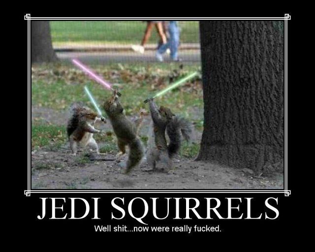  photo Jedi-Squirrels-star-wars-3996616-640-512_zps61eccbd1.jpg