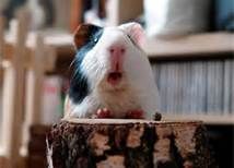  photo thCAVM7TD9_zps1cc4d13a.jpg