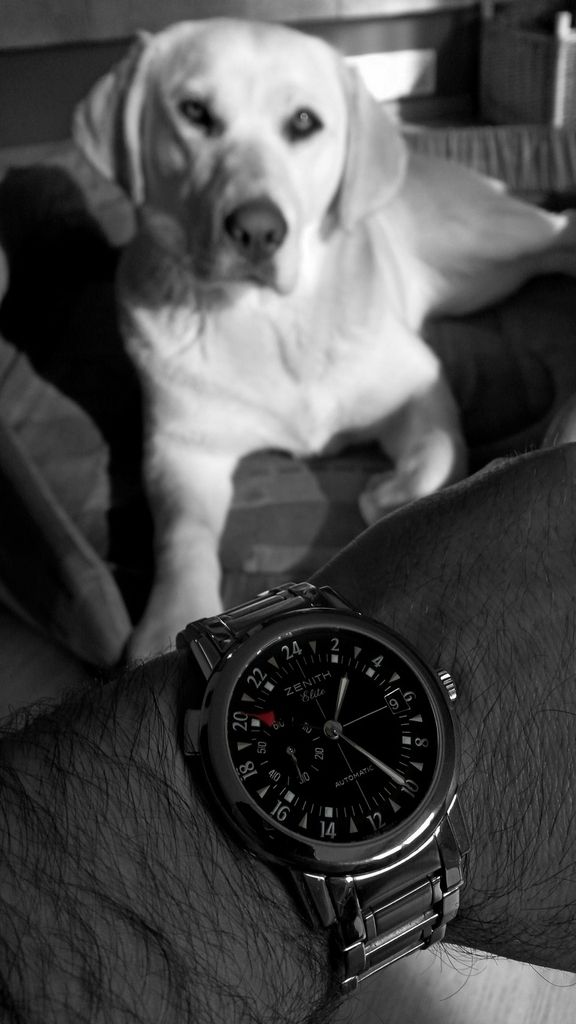 06b33710-215d-41a4-ac83-6d2abab7f6b7_zps