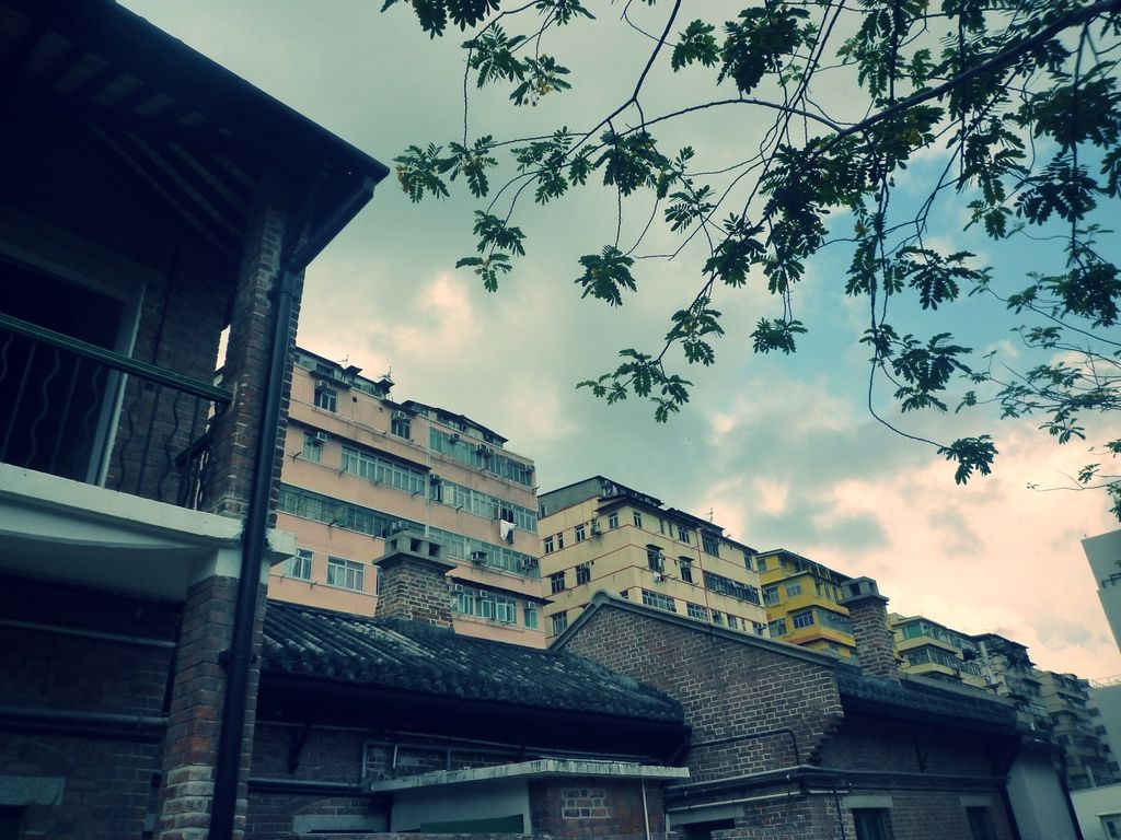 P1040363.jpg