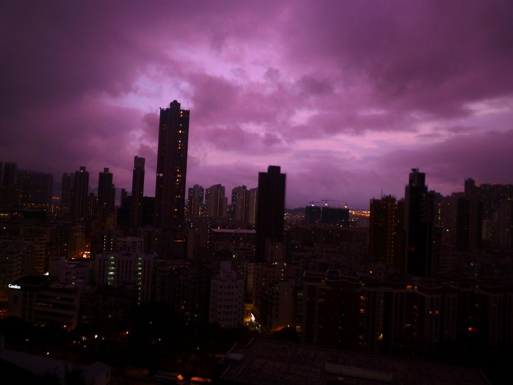 P1040363.jpg