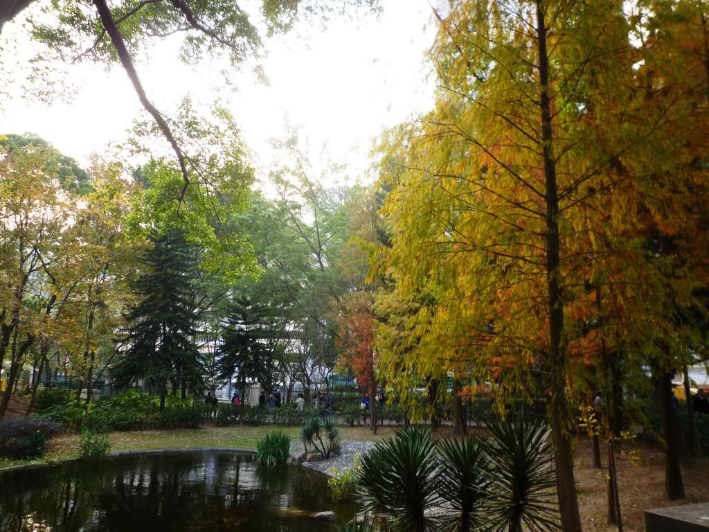 P1040363.jpg