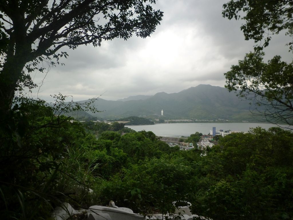 P1040363.jpg