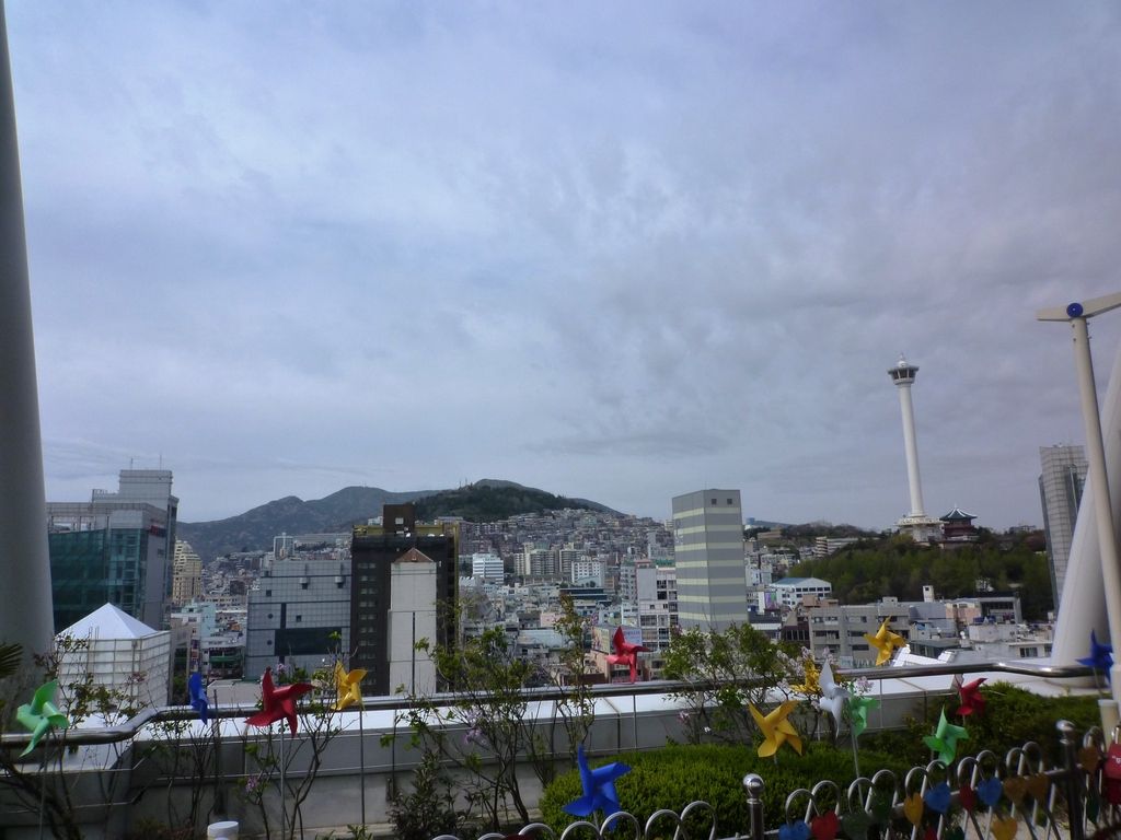 P1040363.jpg