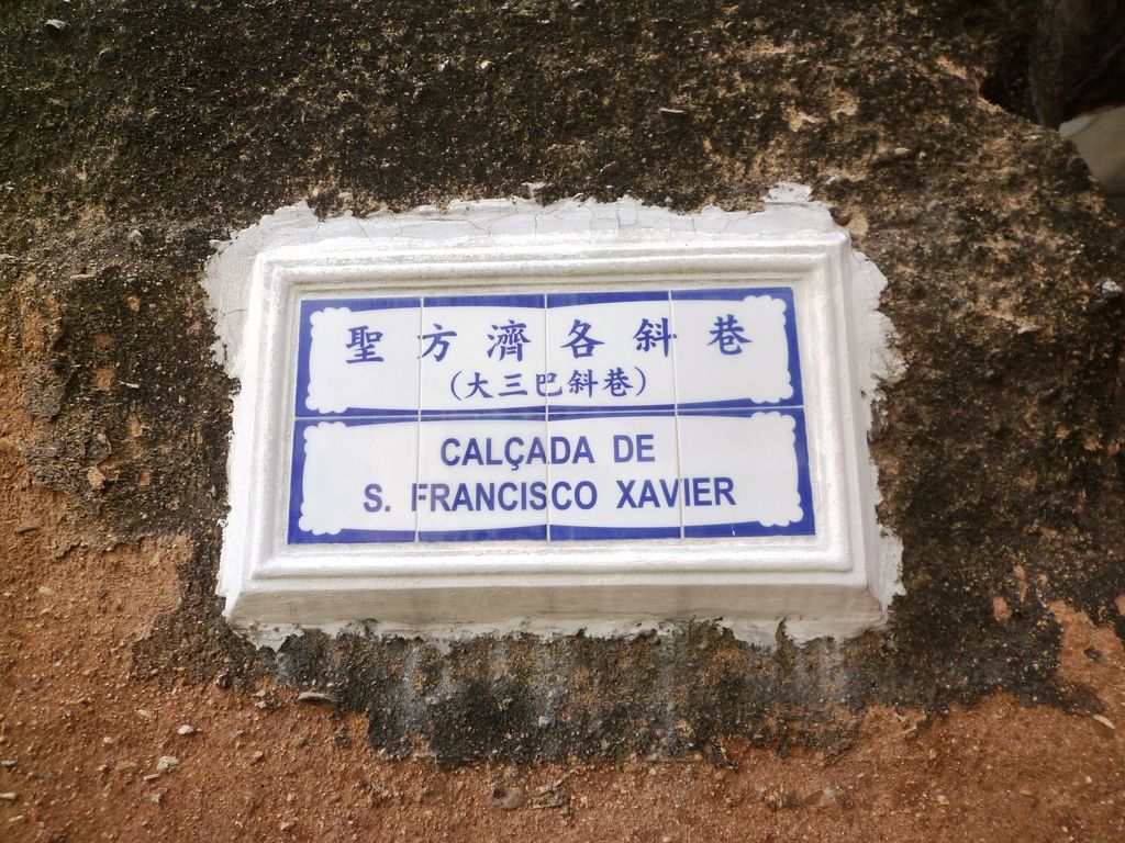 P1040363.jpg