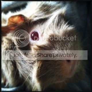 IMG_2507_zps8aafb8f7.jpg