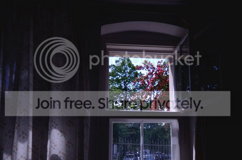  photo DSC_2515_zpssryz7v2m.jpg